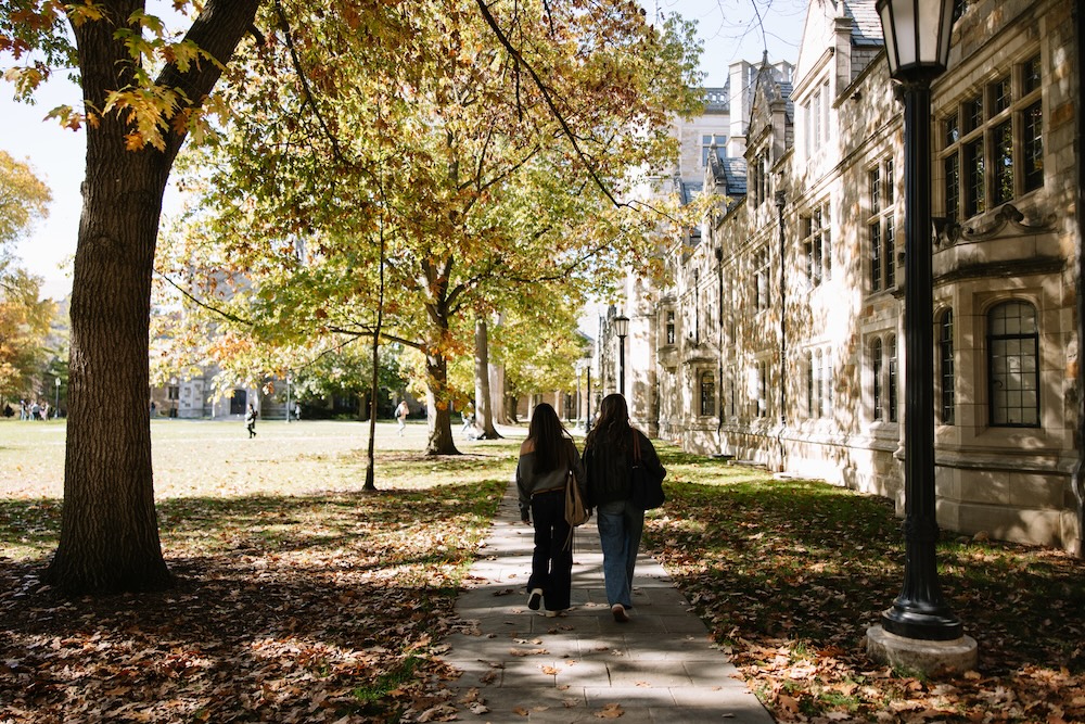 Two people walk side by side down a tree-lined sidewalk on a sunny autumn day, debating verve vs rambler, next to a historic stone building with arched windows and a campus lawn blanketed in golden leaves.