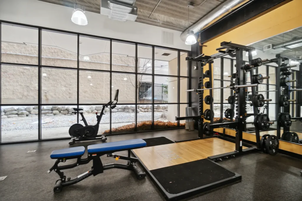 Z Place Ann Arbor fitness center features weightlifting equipment and floor-to-ceiling windows near the University of Michigan campus.