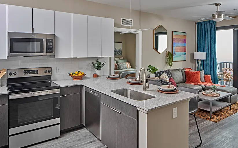 The Standard at Ann Arbor modern student apartment kitchen and living room with stainless steel appliances and contemporary furnishings near the University of Michigan campus.